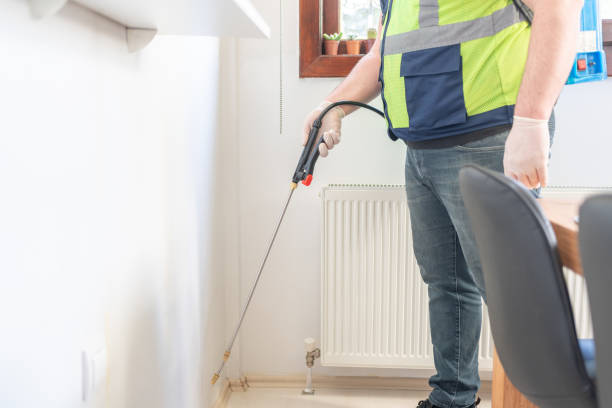Best Ant Control Services  in Chillum, MD