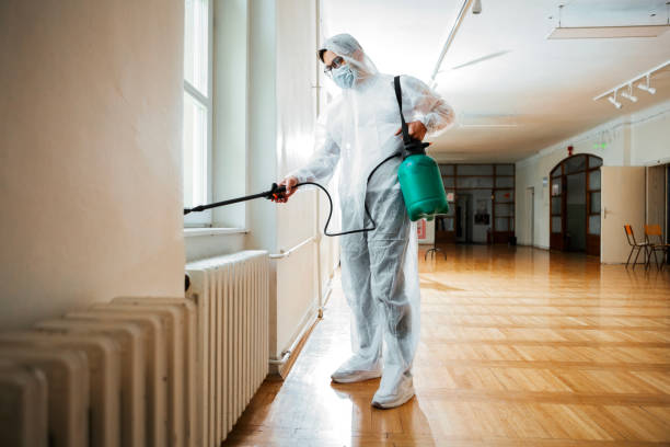Best Flea Control Services  in Chillum, MD